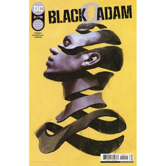 Black Adam #2 VF ; DC Comic Book