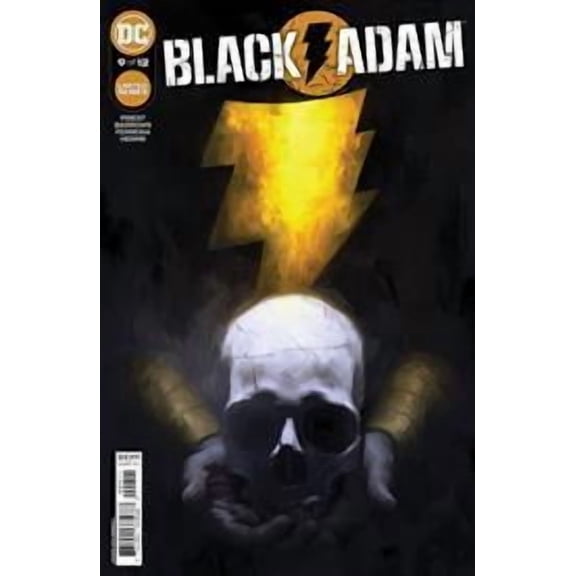 Black Adam #9 (of 12) Cvr A Irvin Rodriguez DC Comics Comic Book