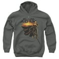 thumbnail image 1 of Black Adam Black Adam Logo With Character Kids Pull-Over Hoodie (Medium) for Youth Boys and Girls, Charcoal, 1 of 5