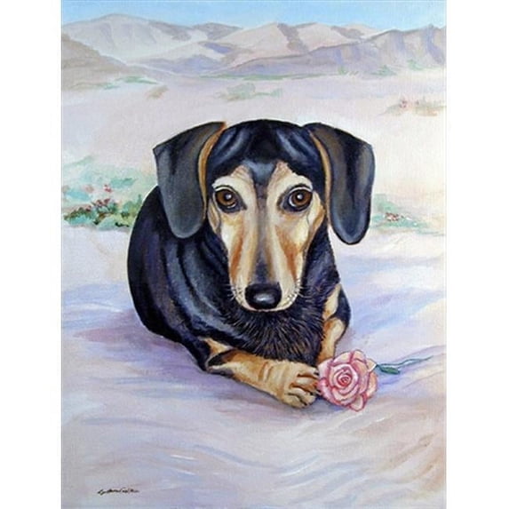Black And Cream Dachshund Flag - Garden Size