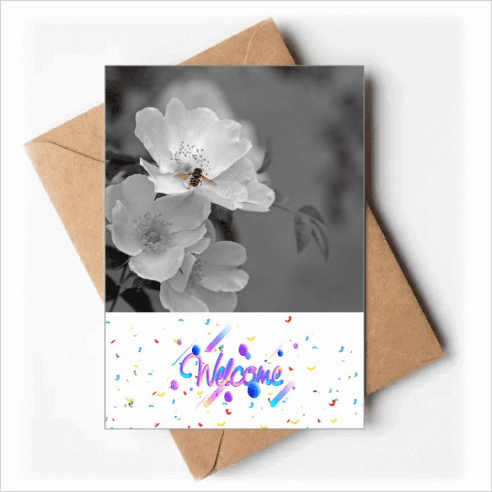 Black And White Beautiful Flowers Welcome Back Greeting Cards Envelopes Blank