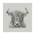 thumbnail image 1 of Black And White Bull' Canvas Art by Ethan Harper, 1 of 4