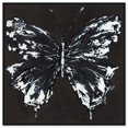 Black And White Butterfly Canvas Butterfly Art Prints by Art Remedy