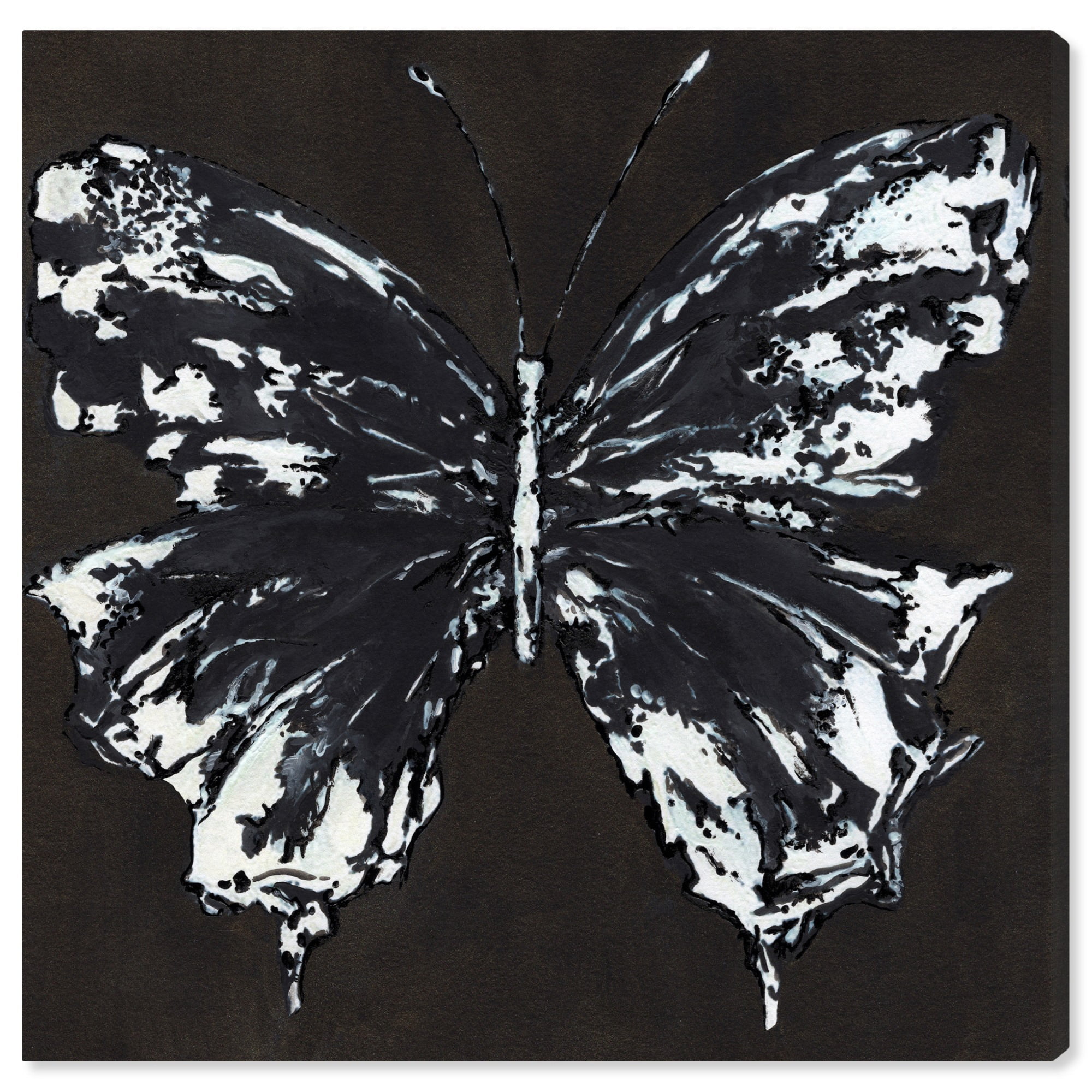 Black And White Butterfly Canvas Butterfly Art Prints by Art Remedy