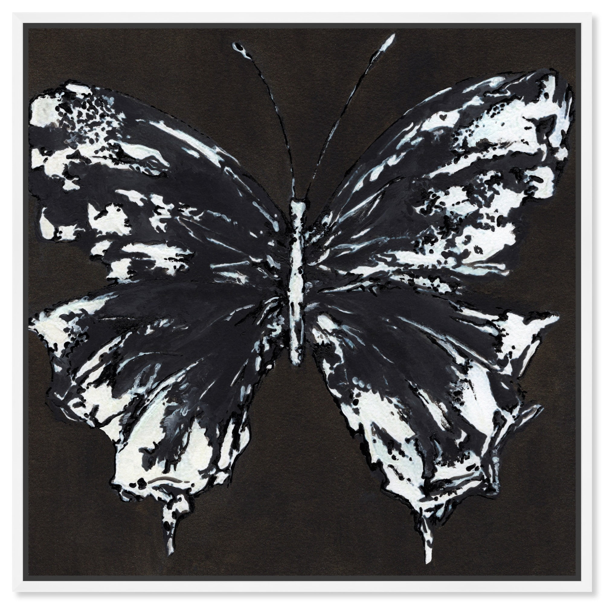 Black And White Butterfly Canvas Butterfly Art Prints by Art Remedy