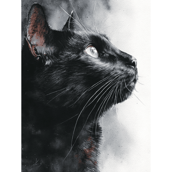 Black And White Cat Portrait Canvas Print Wall Art for Living Room Bedroom Office Cafe Bar Decor
