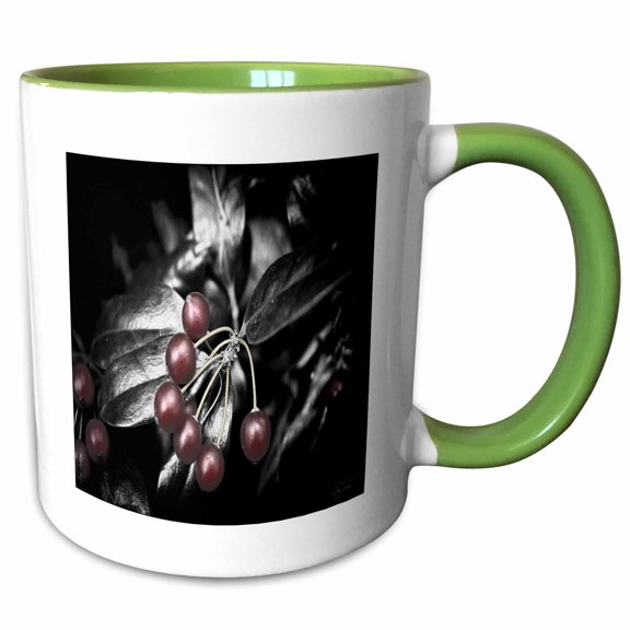 3drose, Black and White Chrome Holly Leaves with Hand Colored Berries - Wow, 11oz Two-tone Green Mug