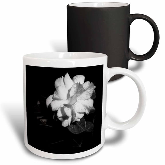 3drose, Black and White Desert Rose Is a Black and White Photo of a Rose, 11oz Magic Transforming Mug