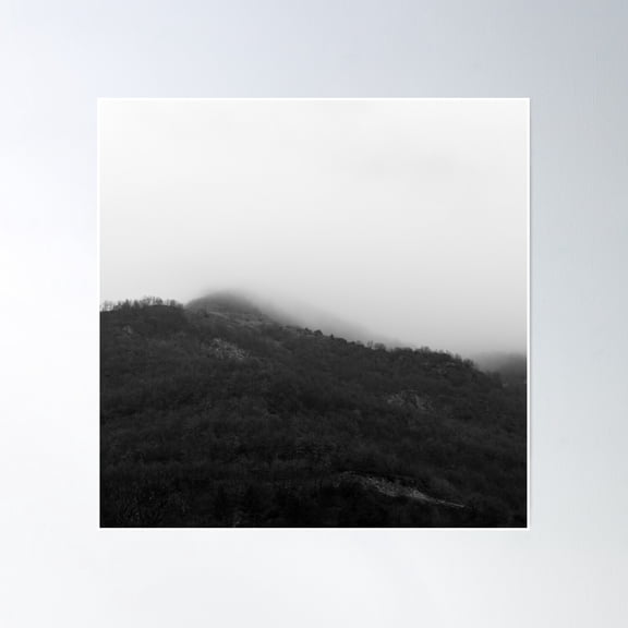 Black And White Landscape Foggy Winter Forest Poster Wall Art, Modern Wall Decor, 24x24 UNFRAMED