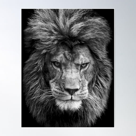Black And White Lion Poster Wall Art, Modern Wall Decor For Living Room Bedroom, 8x12 UNFRAMED