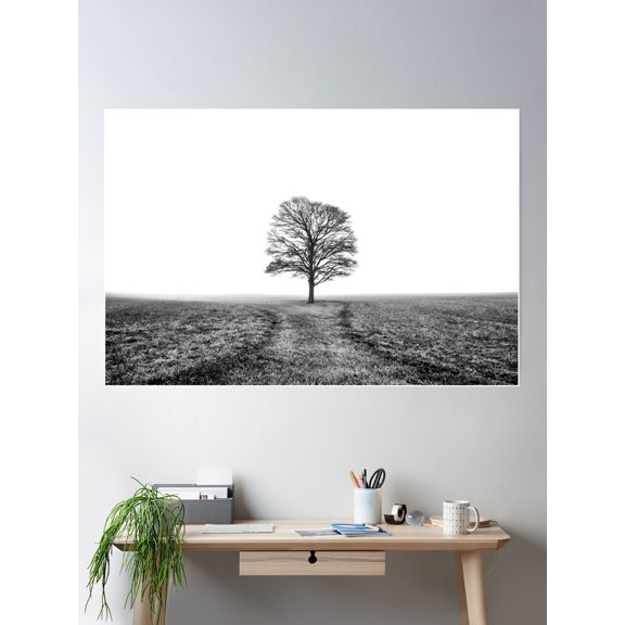Black And White Lone Tree In A Field Poster Wall Art, Modern Wall Decor For Living Room Bedroom, 12x18 UNFRAMED