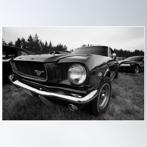 Black And White Mustang Poster Wall Art, Modern Wall Decor, 8x12 UNFRAMED