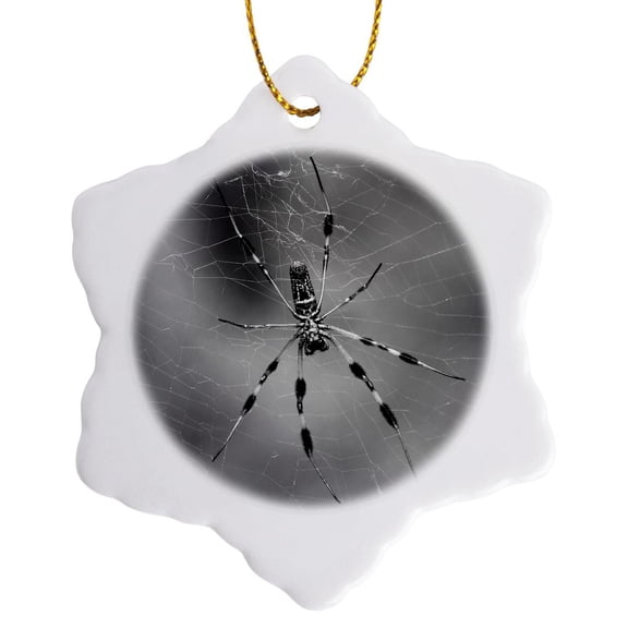 3drose, Black and White Photograph of a Banana Spider Hanging Out in Its Web., 3 inch Snowflake Porcelain Ornament