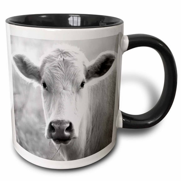 3drose, Black and White Photograph of a Curious Charolais Cow in a Field., 11oz Two-tone Black Mug