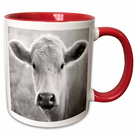 3drose, Black and White Photograph of a Curious Charolais Cow in a Field., 15oz Two-tone Red Mug