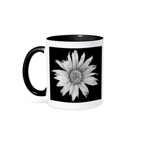 3drose, Black and White Photograph of a Dried Maximilian Sunflower on Black., 11oz Two-tone Black Mug