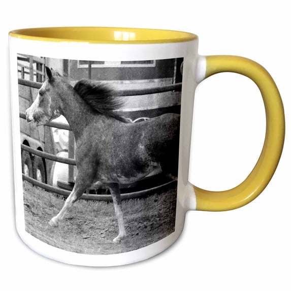 3drose, Black and White Pinto Mini Horse, 11oz Two-tone Yellow Mug