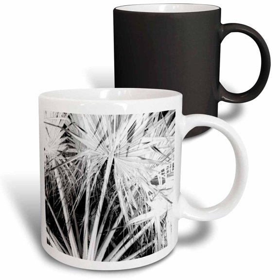 3drose, Black and White Reverse Silhouette of Tropical Palm Tree Fronds, 11oz Magic Transforming Mug