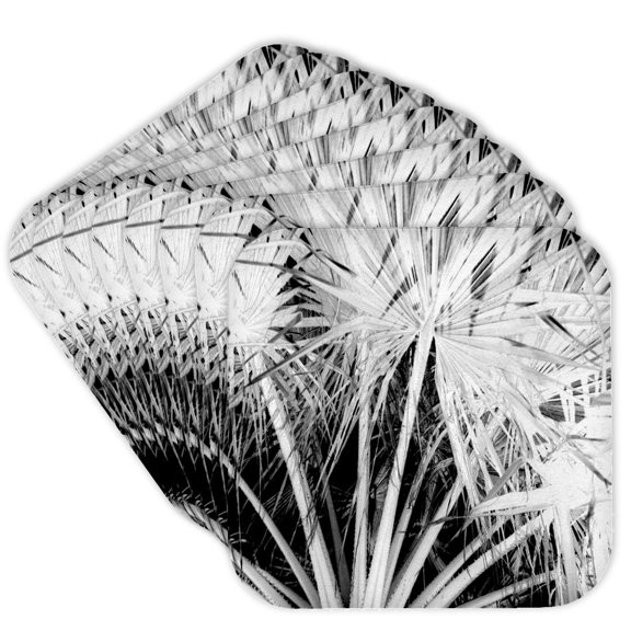 3drose, Black and White Reverse Silhouette of Tropical Palm Tree Fronds, Set of 8 Coasters - Soft