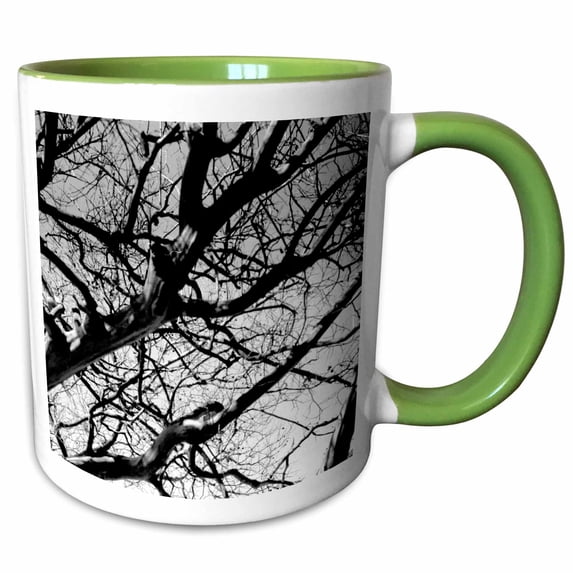 3drose, Black and White Tree Branches Against Sky, 15oz Two-tone Green Mug