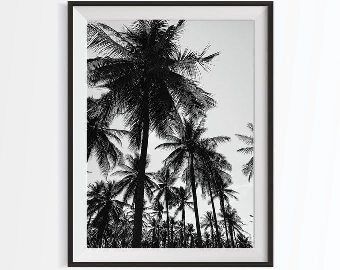 Black And White Tropical Palm Trees Wall Art Print, Unframed Paper ...
