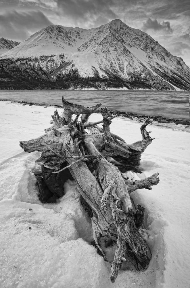 Black And White Version Of Kathleen Lake At Sunrise Kluane National Park Yukon Canvas Art - Robert Postma Design Pics (11 x 17)