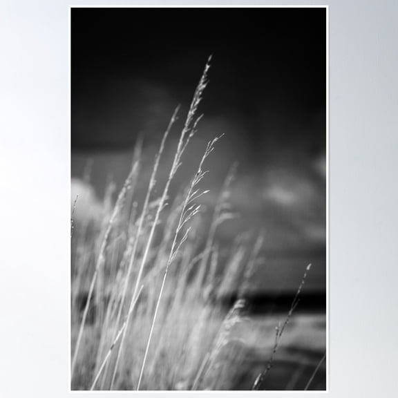 Black And White Waves Of Grain Poster Wall Art, Poster Only