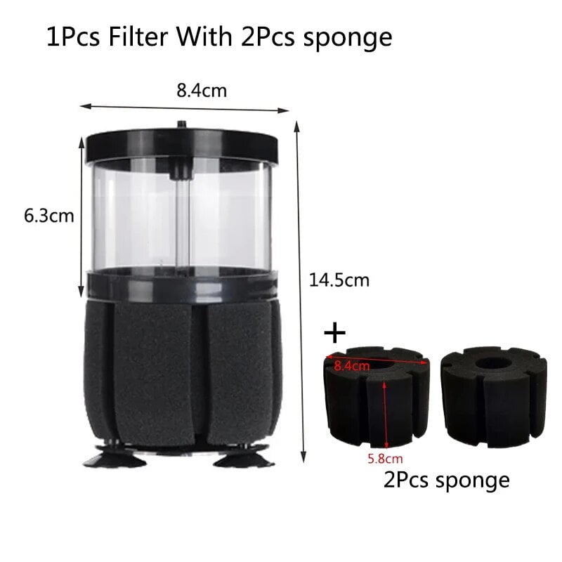 Best Filtration Systems for Reef Aquariums: Keep Your Coral Tank Clean - Reef Aquarium Biological Filter Maintenance