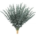 thumbnail image 1 of Black Artificial Eucalyptus Stems,36pcs Faux Eucalyptus Branches Leaves Decor for Halloween Floral Arrangement Wedding Bouquet Home Decoration, 1 of 6