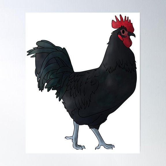 Black Australorp Rooster Poster Wall Art, Modern Wall Decor For Living Room Bedroom, 24x36 UNFRAMED