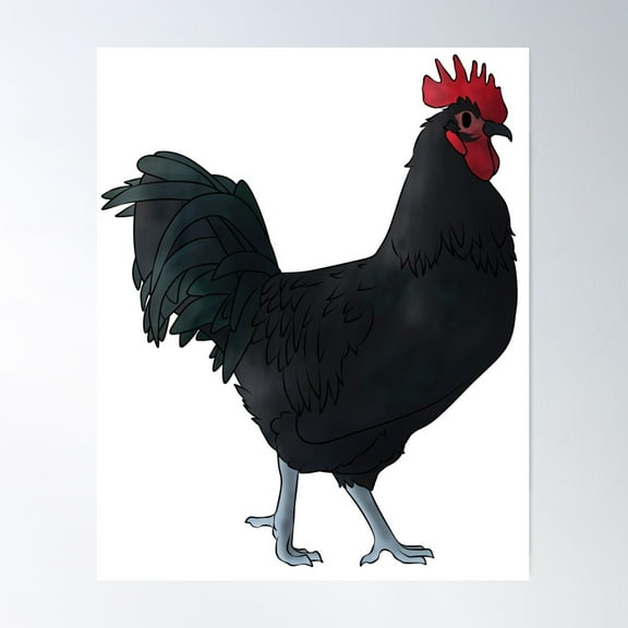 Black Australorp Rooster Poster Wall Art, Modern Wall Decor For Living Room Bedroom, 8x12 UNFRAMED