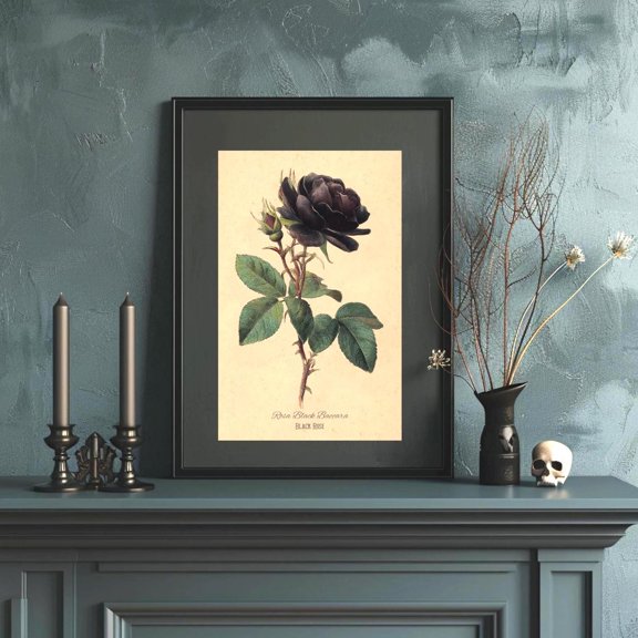 Black Baccara Rose Art Print, Gothic Flower Illustration, Unframed Paper Poster 8x10in
