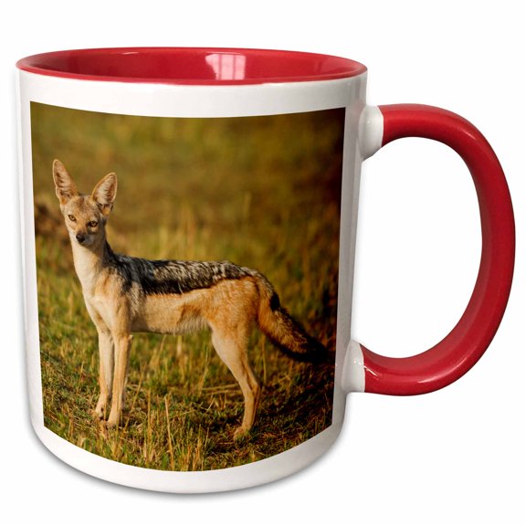 3drose, Black-backed Jackal, Maasai Mara Wildlife Reserve, Kenya., 15oz Two-tone Red Mug