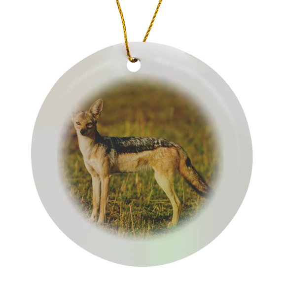 3drose, Black-backed Jackal, Maasai Mara Wildlife Reserve, Kenya., Circle Porcelain Ornament