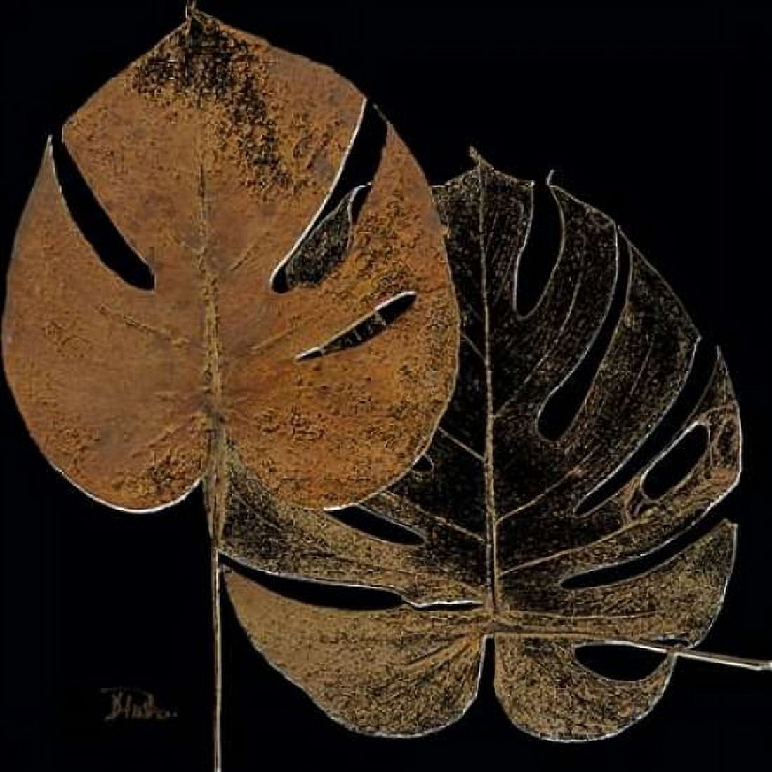Black Balazo I Canvas Art - Patricia Pinto (24 x 24)