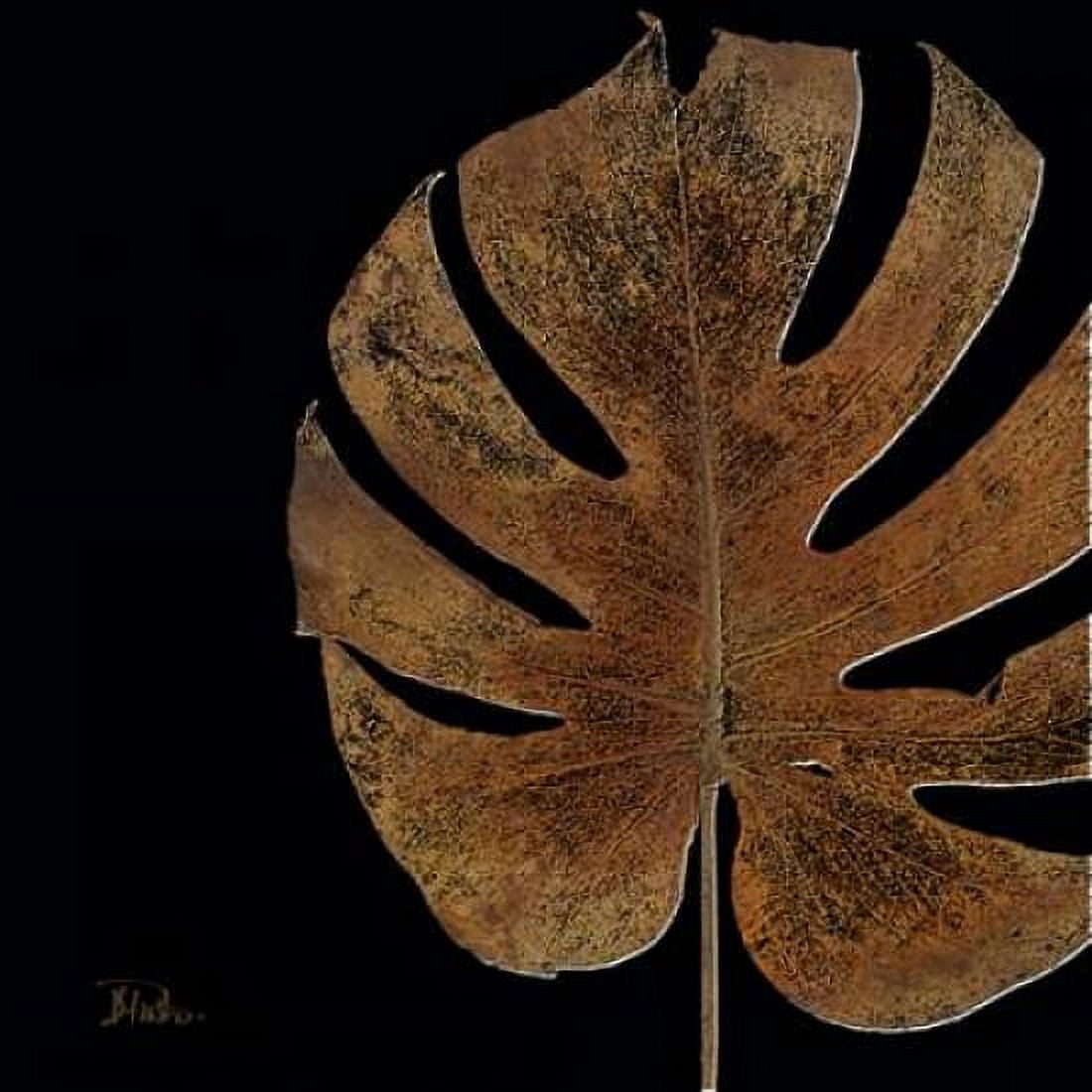 Black Balazo II Canvas Art - Patricia Pinto (24 x 24)