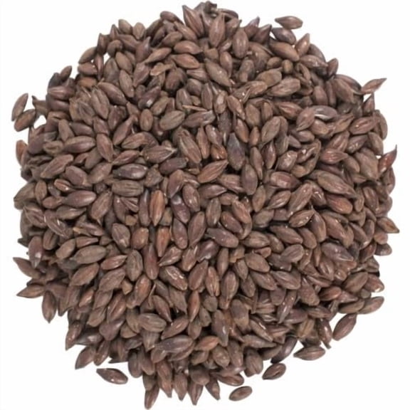Black Barley 500°L - 5 lb Whole Grain – Black Roasted Unmalted Barley Grain for Brewing & Distilling – Deep Color & Bold Roast Flavor