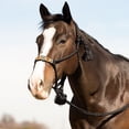 thumbnail image 1 of Black Beaded Halter w/10ft Lead, 1 of 3