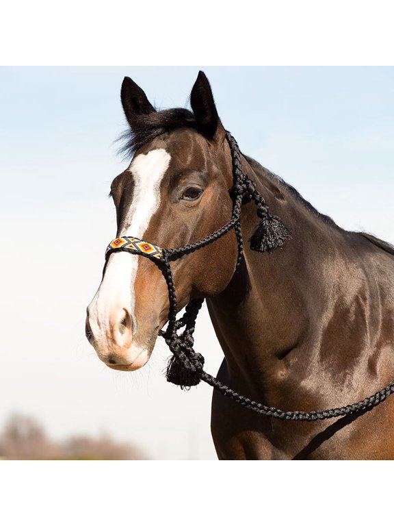 Black Beaded Halter w/10ft Lead