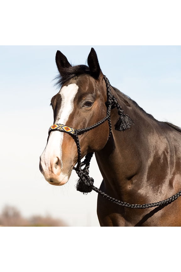 Black Beaded Halter w/10ft Lead
