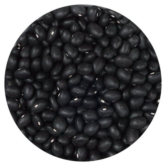 Black Beans, 5 Pound Bulk Bag