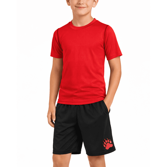 Black Bear Active Boys Short Sets - 2 Piece Short Sleeve T-Shirt and Shorts Boys Athletic Set (8-18)