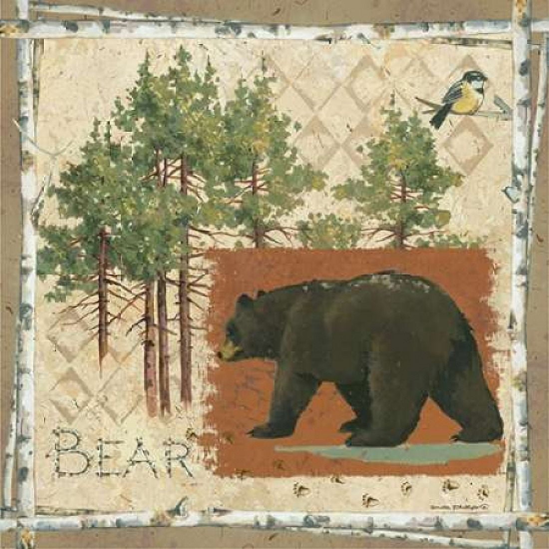 Black Bear Canvas Art - Anita Phillips (24 x 24)