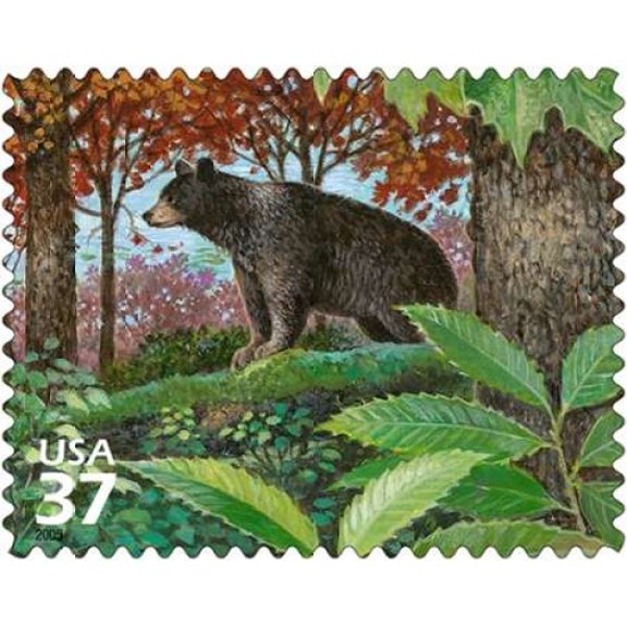 Black Bear Canvas Art - US POSTAL SERVICE (24 x 30)