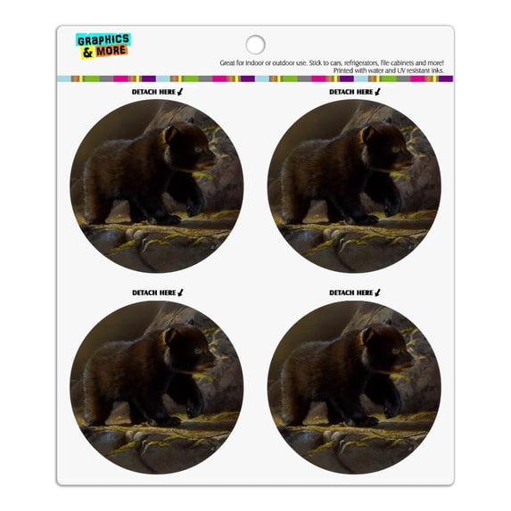Black Bear Cub in the Morning Refrigerator Fridge Locker Vinyl Circle Magnet Set
