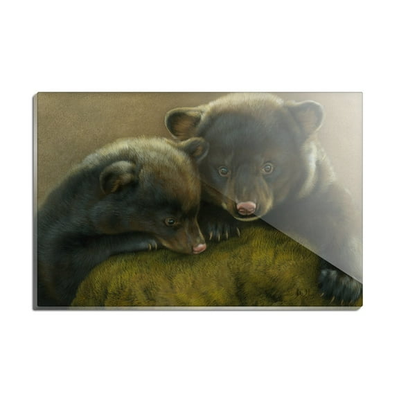 Black Bear Cubs Mossy Rocks Rectangle Acrylic Fridge Refrigerator Magnet