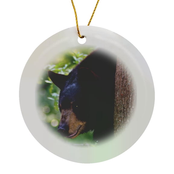 3drose, Black Bear Looking Around a Tree, Circle Porcelain Ornament