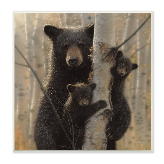 Black Bear and Cubs Soft Birch Tree Forest 12 in x 12 in Framed Painting Art Print, by Stupell Home Décor