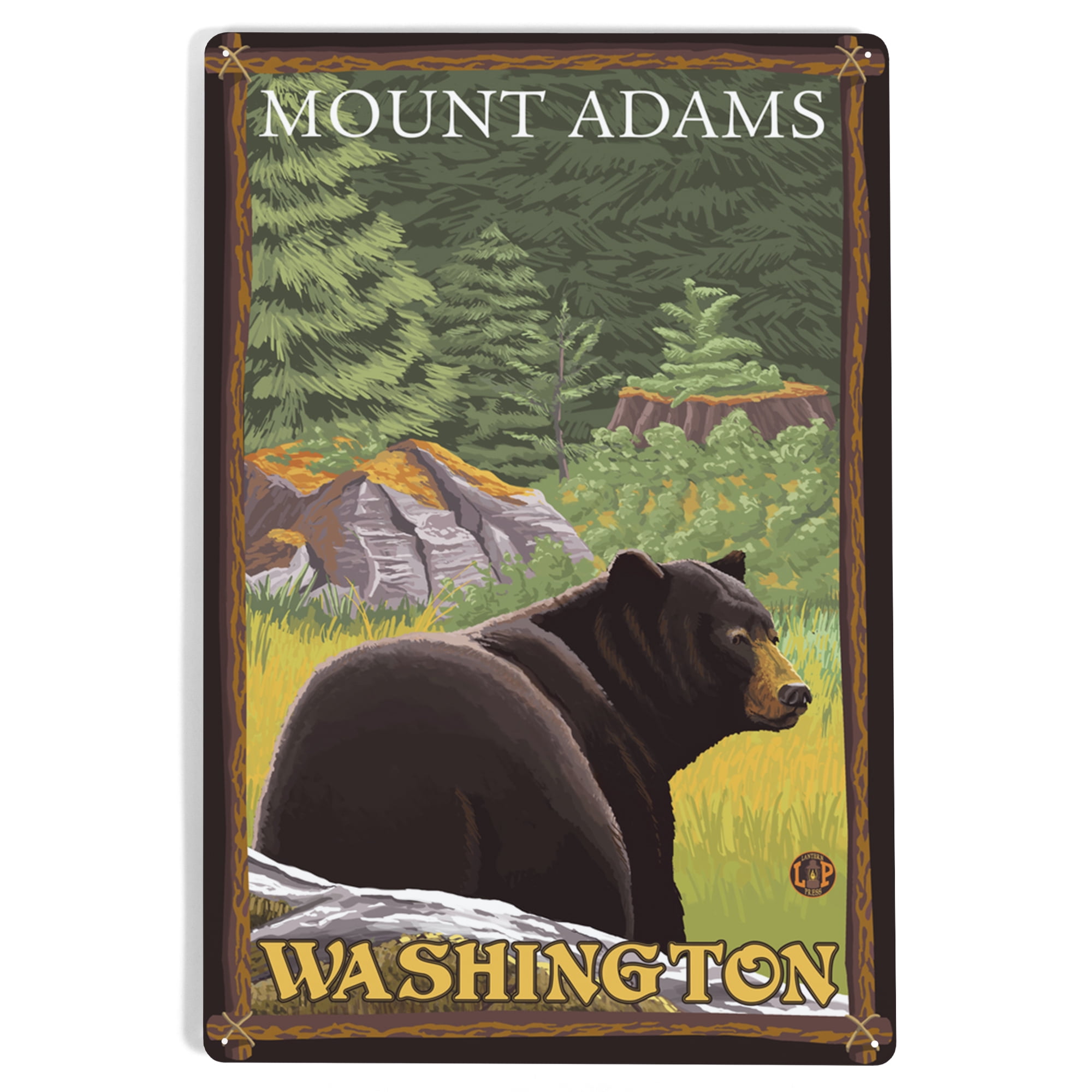 Black Bear in Forest, Mount Adams, Washington (12x18 Aluminum Art