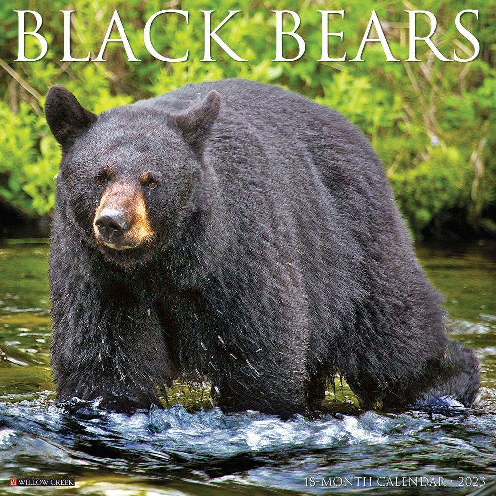 Black Bears 2023 Wall Calendar